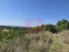 Teren intravilan 4.029 mp de vanzare, zona Crama Seciu