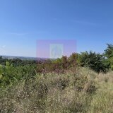 Teren intravilan 4.029 mp de vanzare, zona Crama Seciu